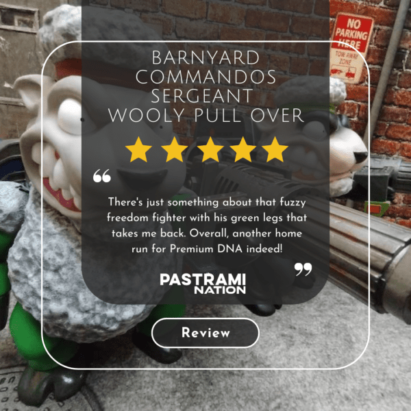 Action Figure Review: Barnyard Commandos Sergeant Wooly Pull Over